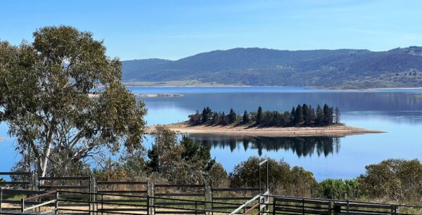 3 Bedroom Townhouse – Stockyards 2